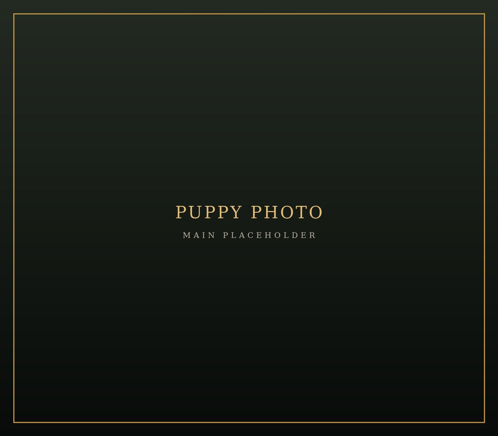 Main photo placeholder for puppy S1